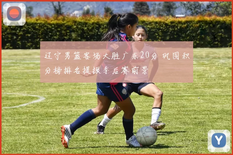 辽宁男篮客场大胜广东20分 巩固积分榜排名提振季后赛前景