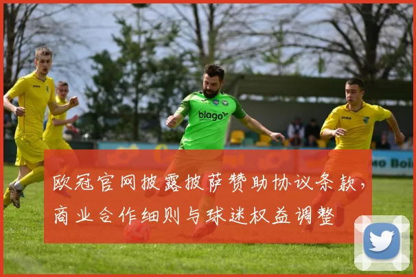 欧冠官网披露披萨赞助协议条款，商业合作细则与球迷权益调整