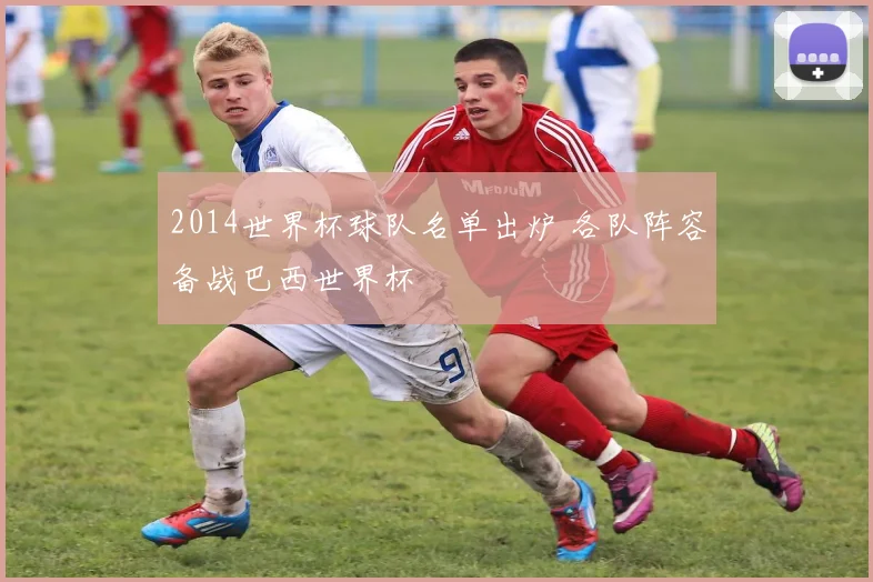 2014世界杯球队名单出炉 各队阵容备战巴西世界杯